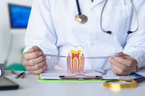 Best Emergency Root Canal Treatment in West Park, NJ